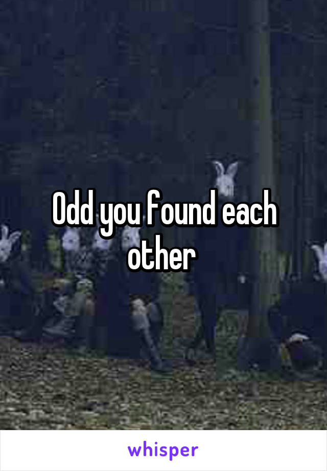 Odd you found each other 