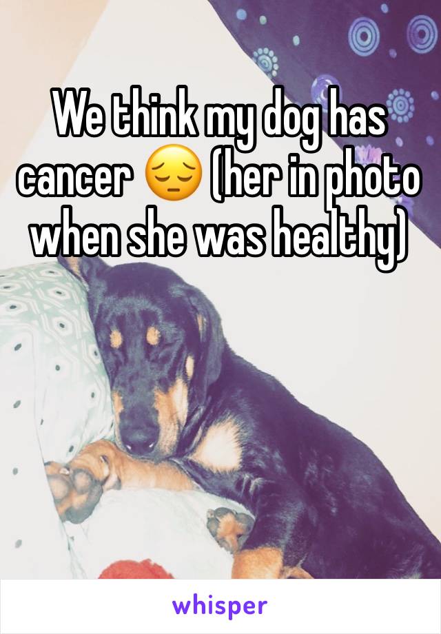 We think my dog has cancer ðŸ˜” (her in photo when she was healthy)