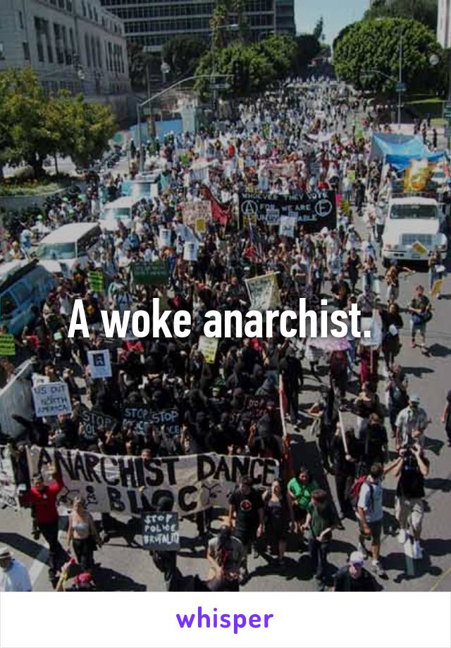 A woke anarchist. 