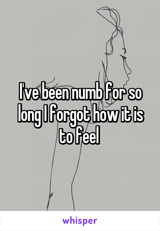 I've been numb for so long I forgot how it is to feel 