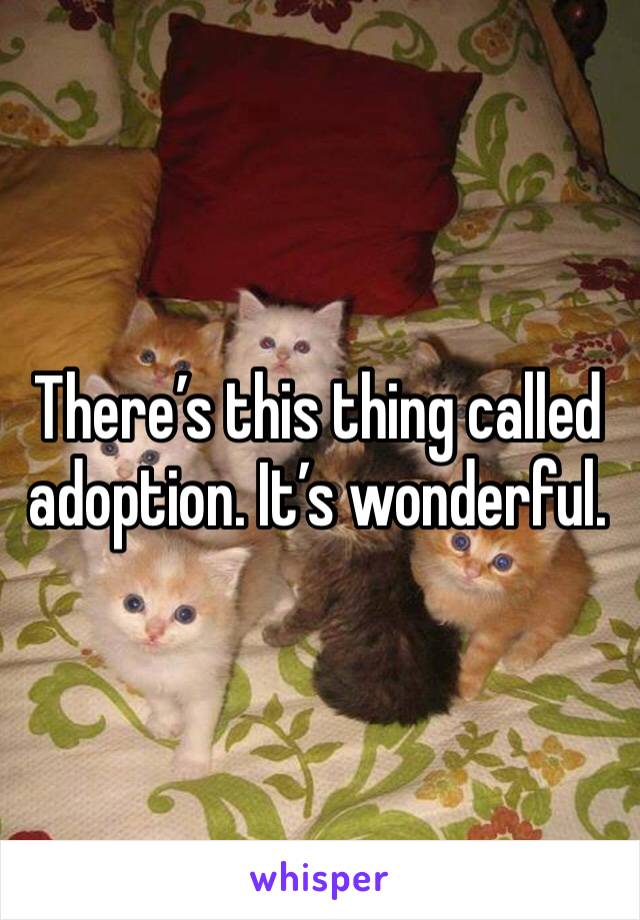 There’s this thing called adoption. It’s wonderful. 