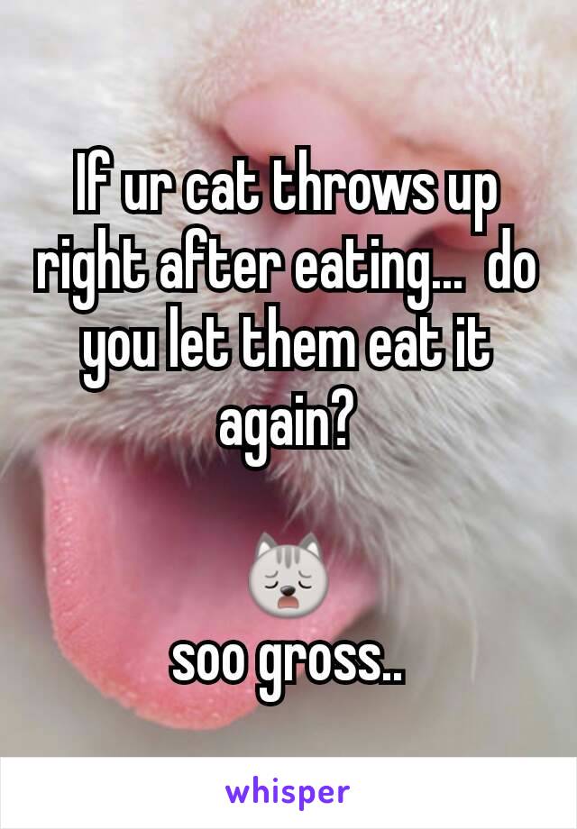 If ur cat throws up right after eating...  do you let them eat it again?

🙀
soo gross..