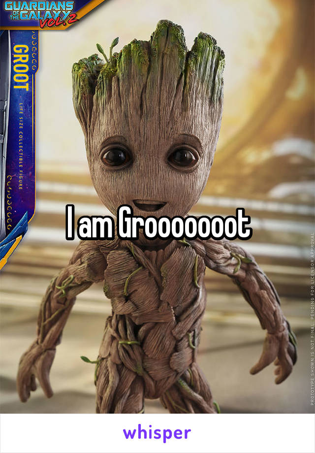 I am Grooooooot