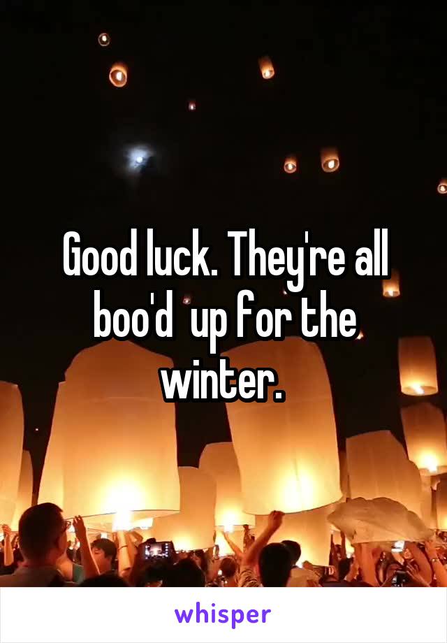 Good luck. They're all boo'd  up for the winter. 
