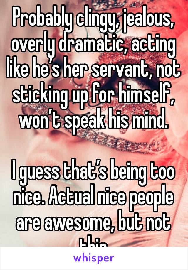 Probably clingy, jealous, overly dramatic, acting like he’s her servant, not sticking up for himself, won’t speak his mind.

I guess that’s being too nice. Actual nice people are awesome, but not this