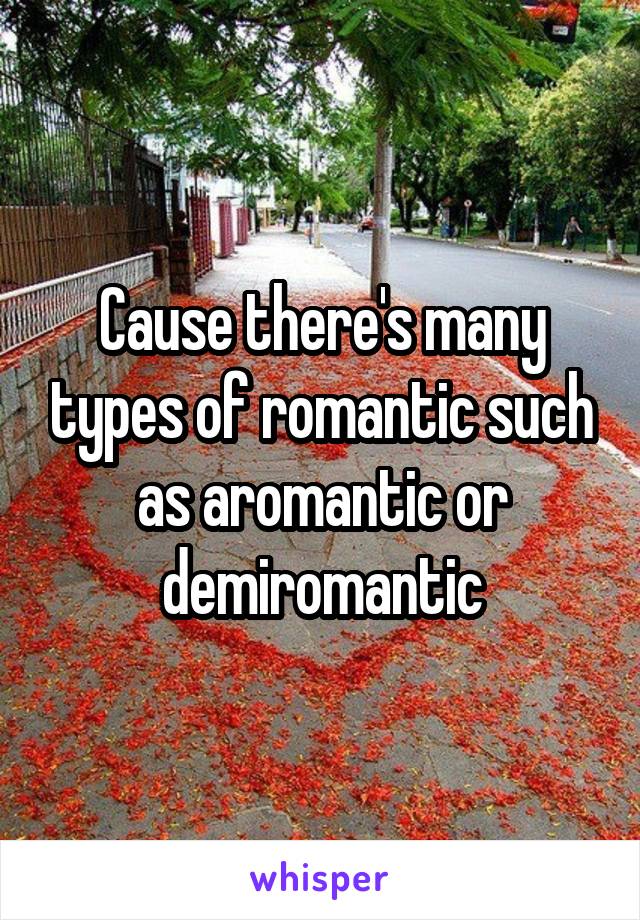 Cause there's many types of romantic such as aromantic or demiromantic