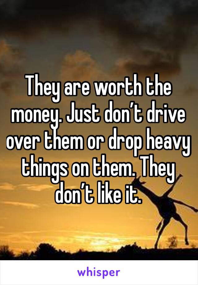 They are worth the money. Just don’t drive over them or drop heavy things on them. They don’t like it. 