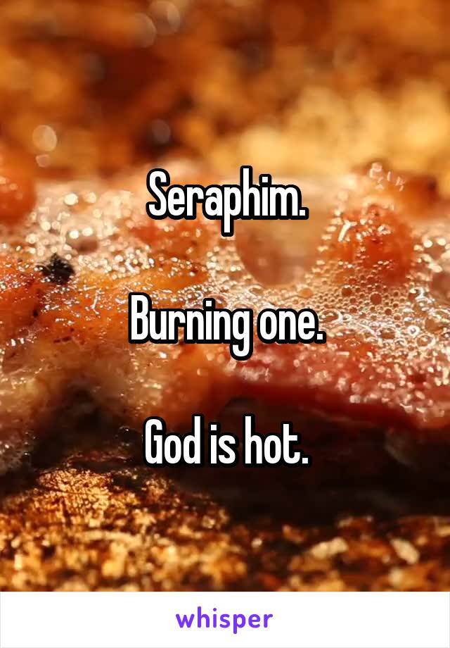 Seraphim.

Burning one.

God is hot.