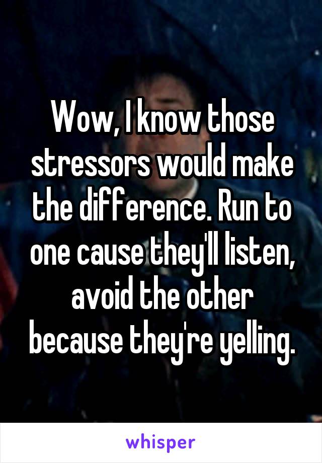 Wow, I know those stressors would make the difference. Run to one cause they'll listen, avoid the other because they're yelling.