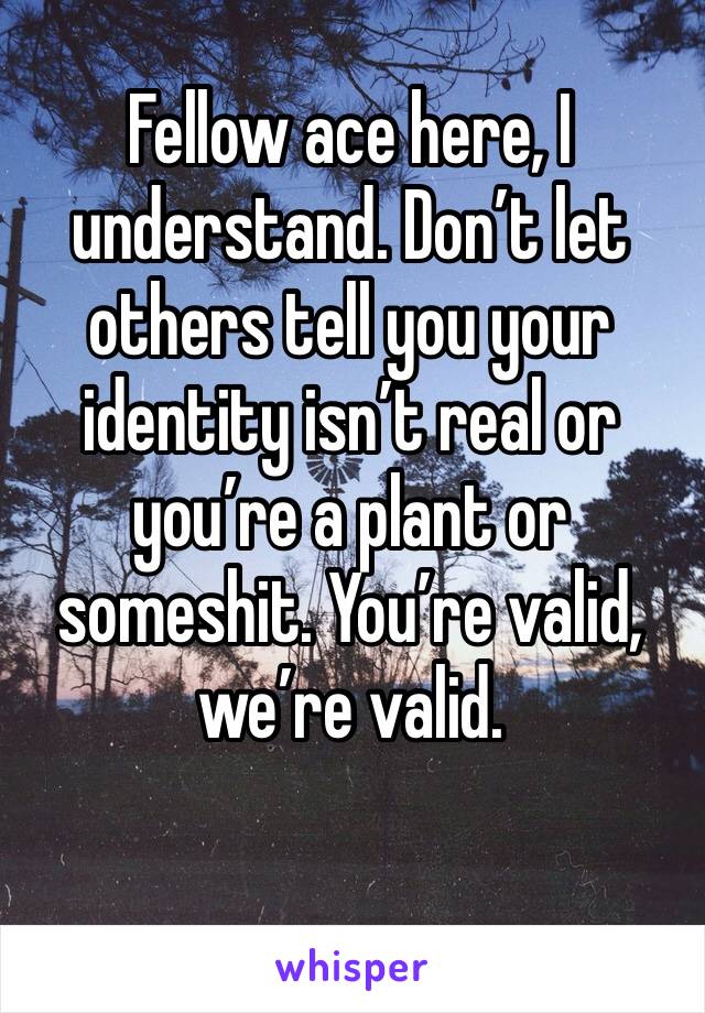 Fellow ace here, I understand. Don’t let others tell you your identity isn’t real or you’re a plant or someshit. You’re valid, we’re valid. 