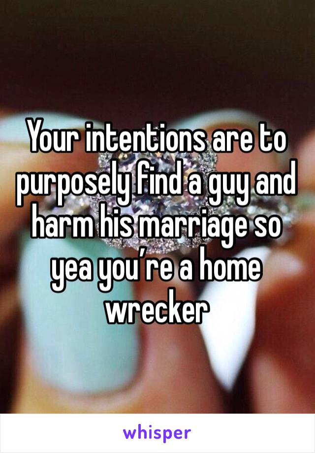 Your intentions are to purposely find a guy and harm his marriage so yea you’re a home wrecker 