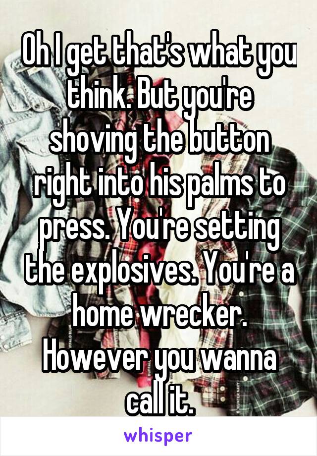 Oh I get that's what you think. But you're shoving the button right into his palms to press. You're setting the explosives. You're a home wrecker. However you wanna call it.