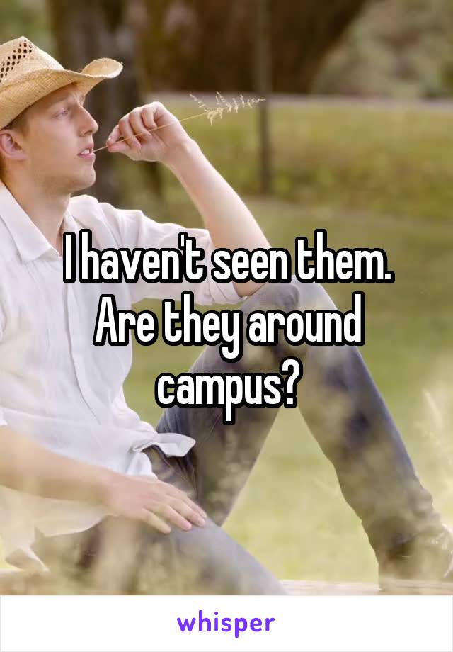 I haven't seen them. Are they around campus?
