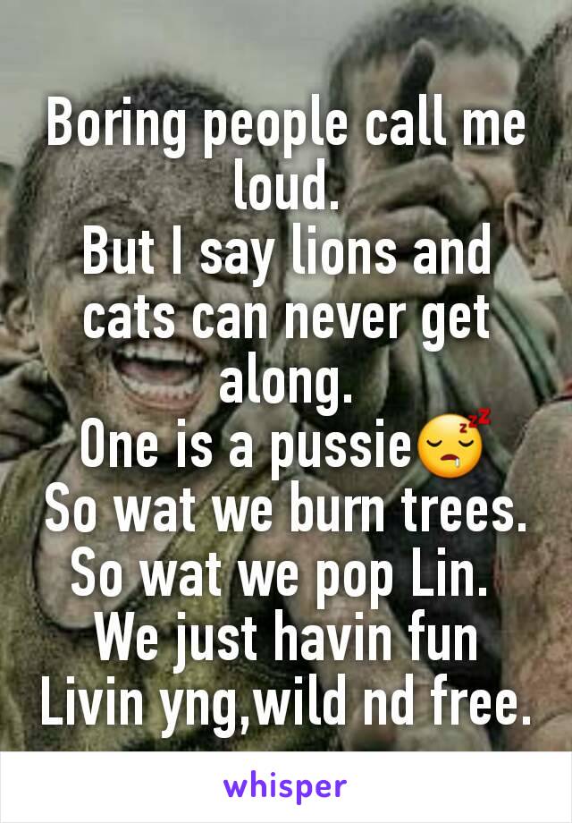 Boring people call me loud.
But I say lions and cats can never get along.
One is a pussie😴
So wat we burn trees.
So wat we pop Lin. 
We just havin fun
Livin yng,wild nd free.