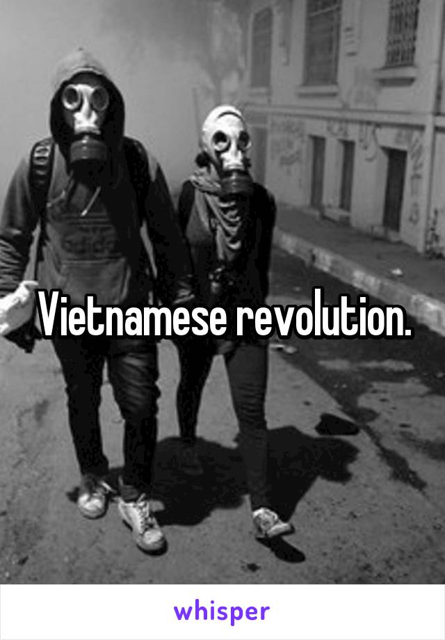 Vietnamese revolution.