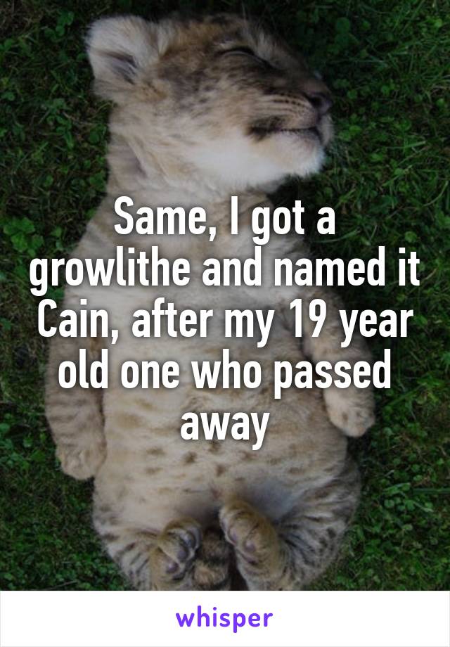 Same, I got a growlithe and named it Cain, after my 19 year old one who passed away