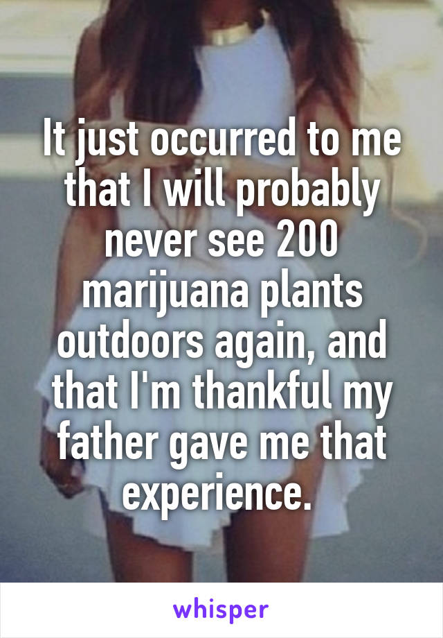 It just occurred to me that I will probably never see 200 marijuana plants outdoors again, and that I'm thankful my father gave me that experience. 