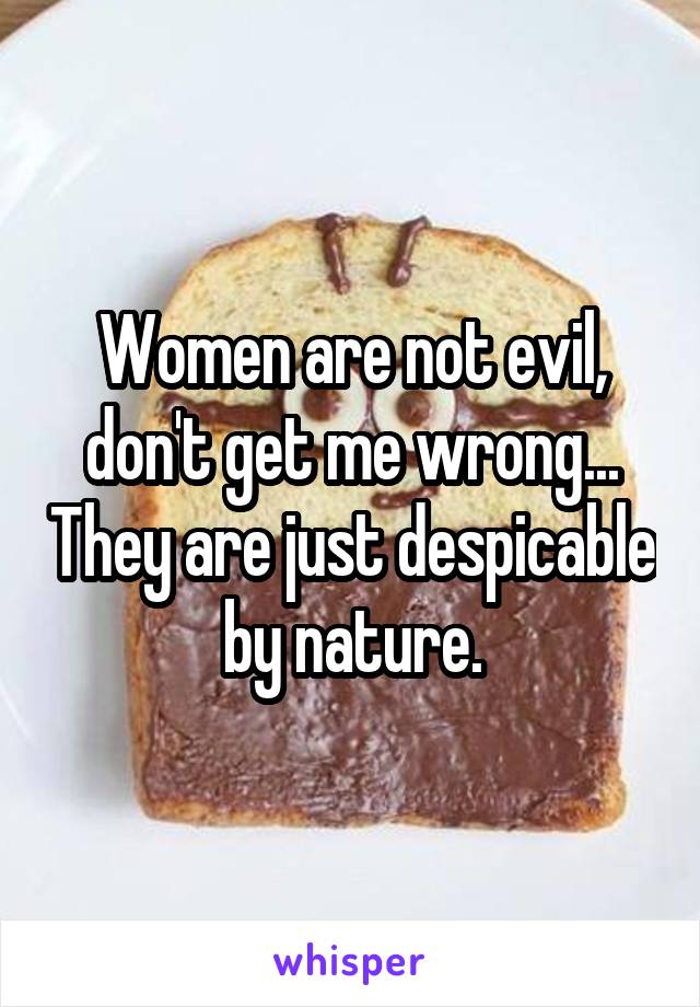 Women are not evil, don't get me wrong... They are just despicable by nature.