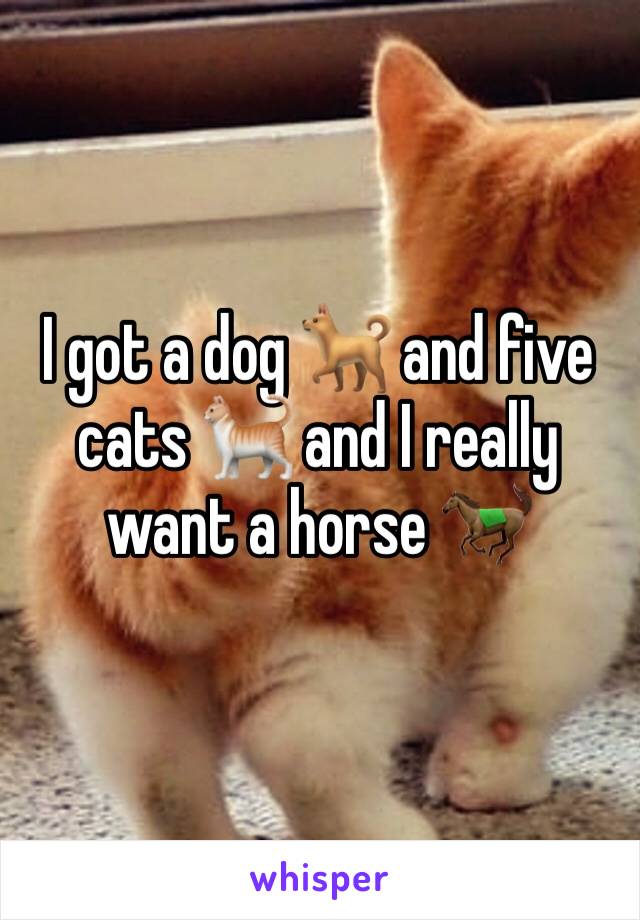 I got a dog 🐕 and five cats 🐈 and I really want a horse 🐎 
