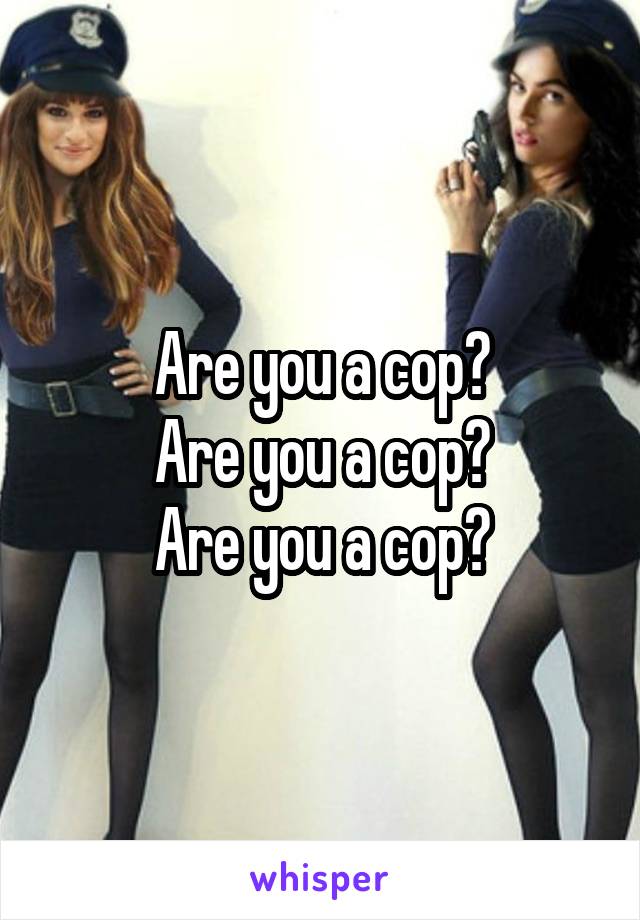 Are you a cop?
Are you a cop?
Are you a cop?