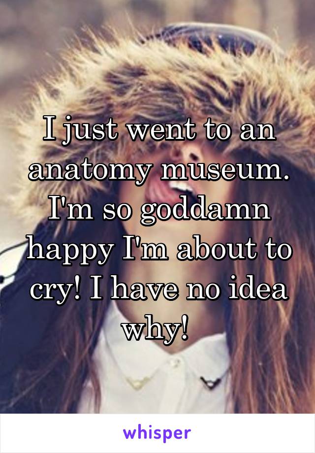 I just went to an anatomy museum.
I'm so goddamn happy I'm about to cry! I have no idea why! 