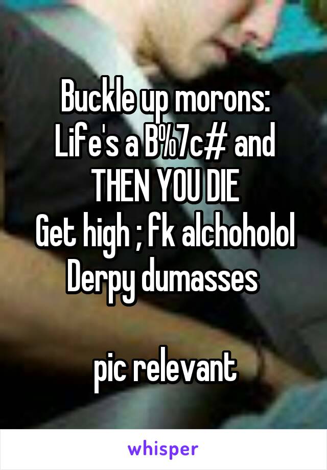 Buckle up morons:
Life's a B%7c# and THEN YOU DIE
Get high ; fk alchoholol
Derpy dumasses 

 pic relevant 