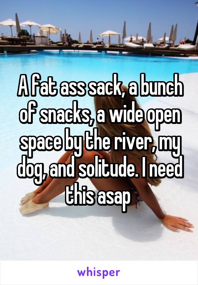 A fat ass sack, a bunch of snacks, a wide open space by the river, my dog, and solitude. I need this asap 