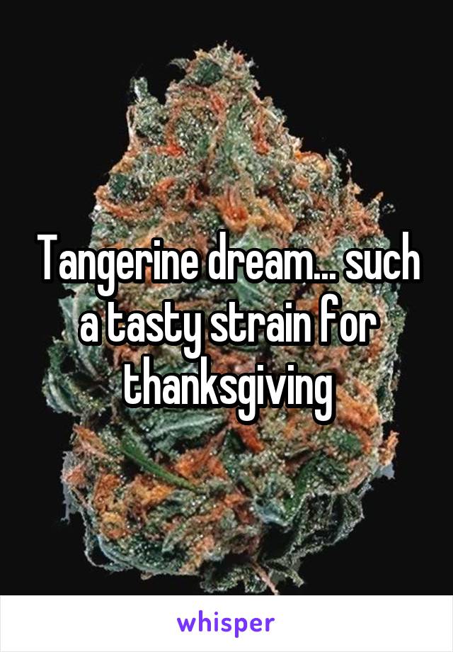 Tangerine dream... such a tasty strain for thanksgiving