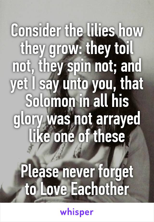 Consider the lilies how they grow: they toil not, they spin not; and yet I say unto you, that Solomon in all his glory was not arrayed like one of these

Please never forget to Love Eachother