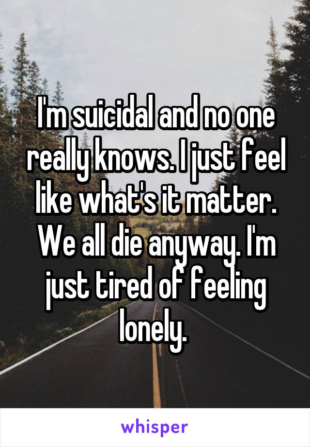 I'm suicidal and no one really knows. I just feel like what's it matter. We all die anyway. I'm just tired of feeling lonely. 
