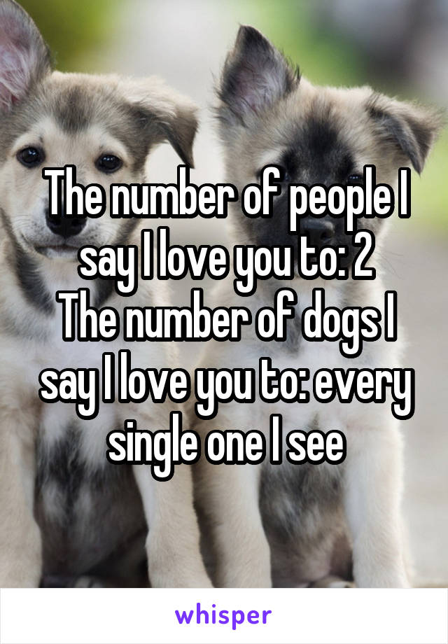 The number of people I say I love you to: 2
The number of dogs I say I love you to: every single one I see