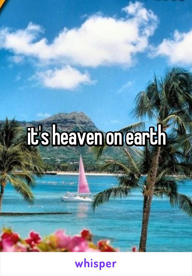 it's heaven on earth