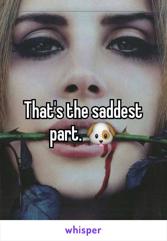 That's the saddest part. 🐶