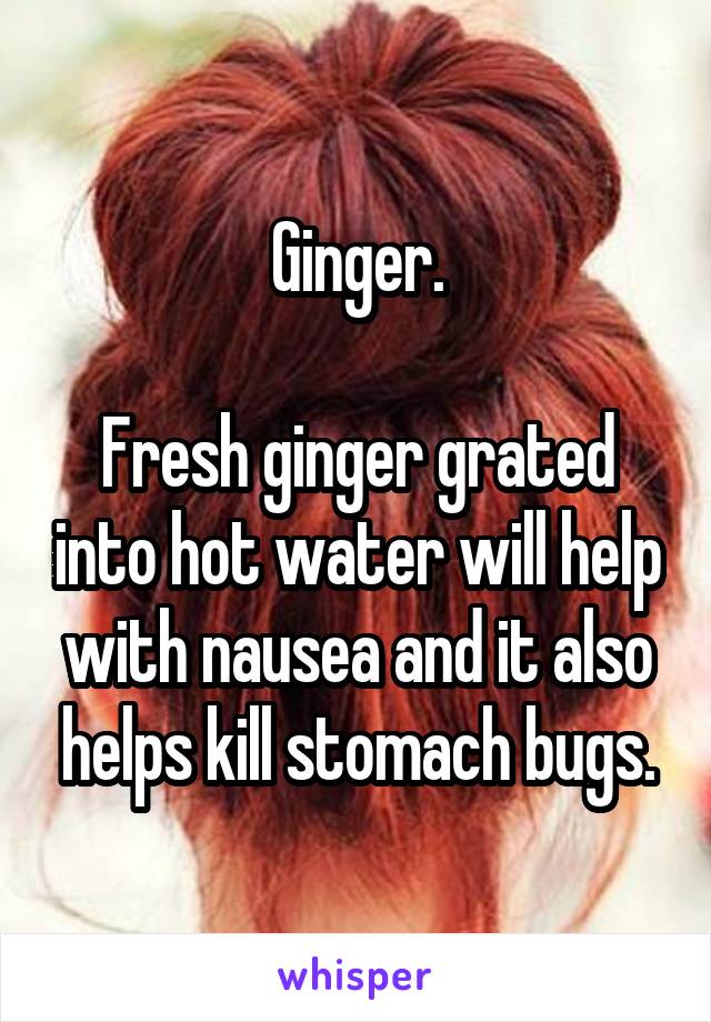 Ginger.

Fresh ginger grated into hot water will help with nausea and it also helps kill stomach bugs.