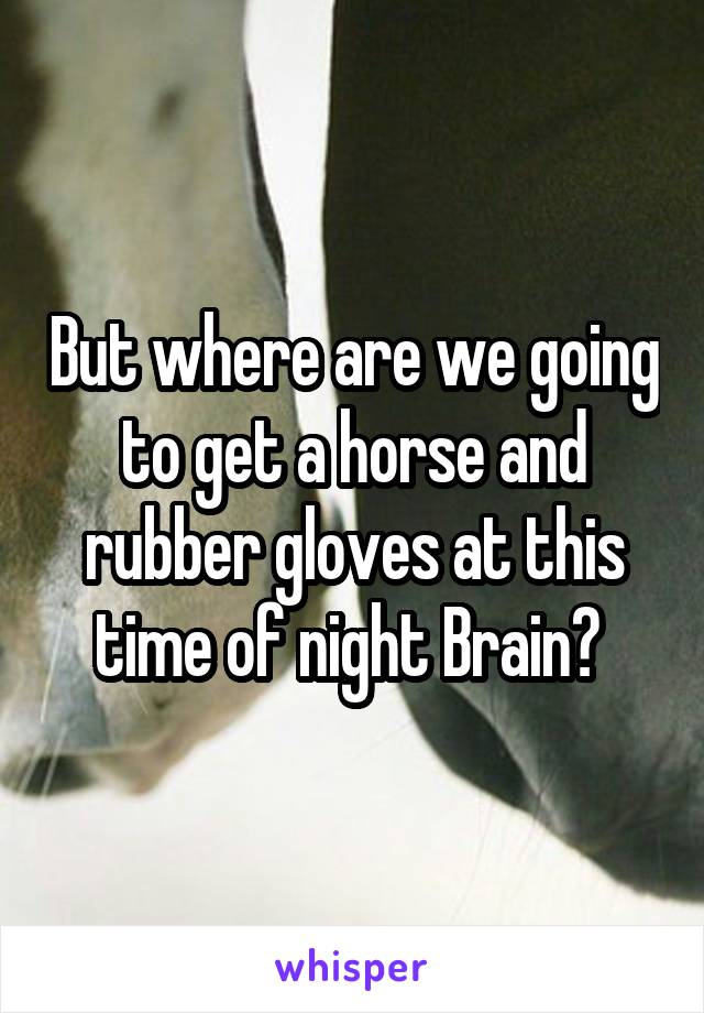 But where are we going to get a horse and rubber gloves at this time of night Brain? 