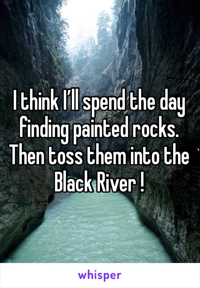 I think I’ll spend the day finding painted rocks.  Then toss them into the Black River !