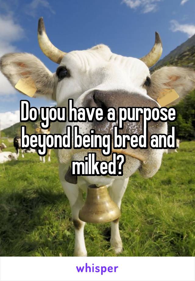 Do you have a purpose beyond being bred and milked?