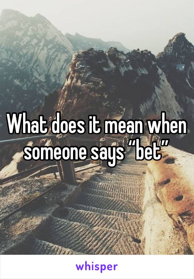 What does it mean when someone says “bet”