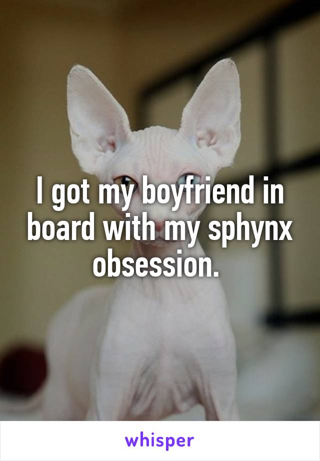 I got my boyfriend in board with my sphynx obsession. 