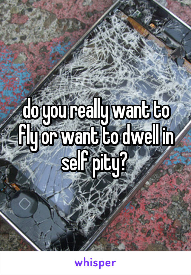 do you really want to fly or want to dwell in self pity? 