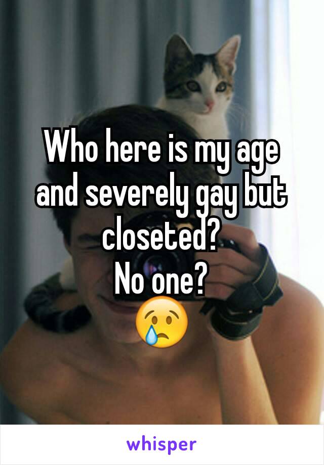 Who here is my age and severely gay but closeted?
No one?
😢