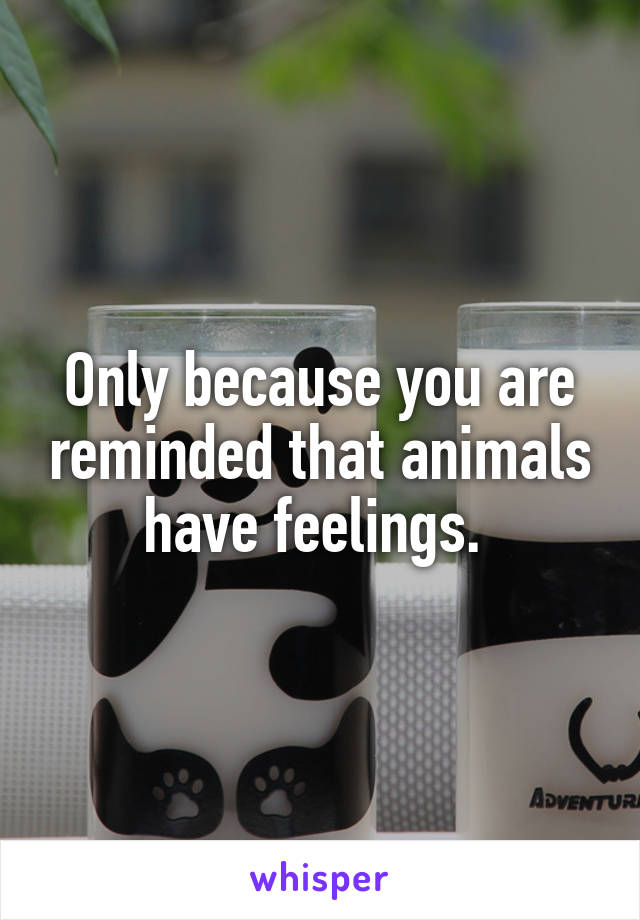 Only because you are reminded that animals have feelings. 
