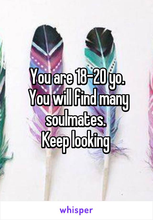 You are 18-20 yo.
 You will find many soulmates. 
Keep looking 