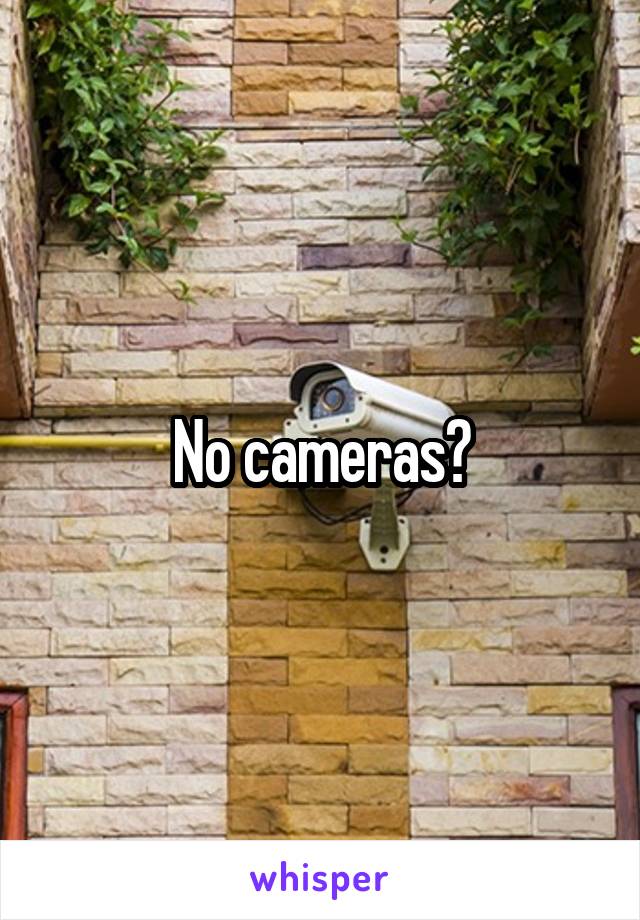 No cameras?