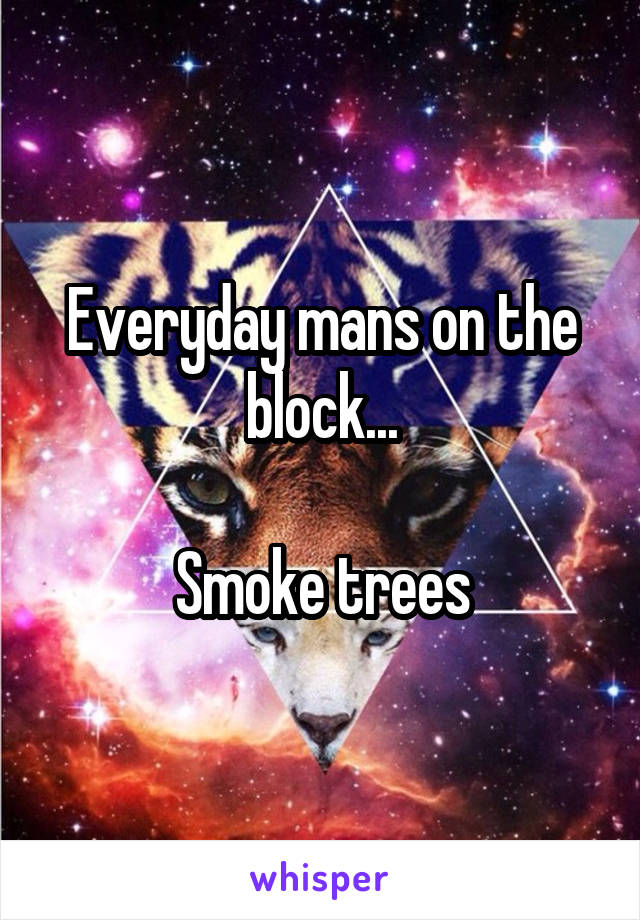 Everyday mans on the block...

Smoke trees