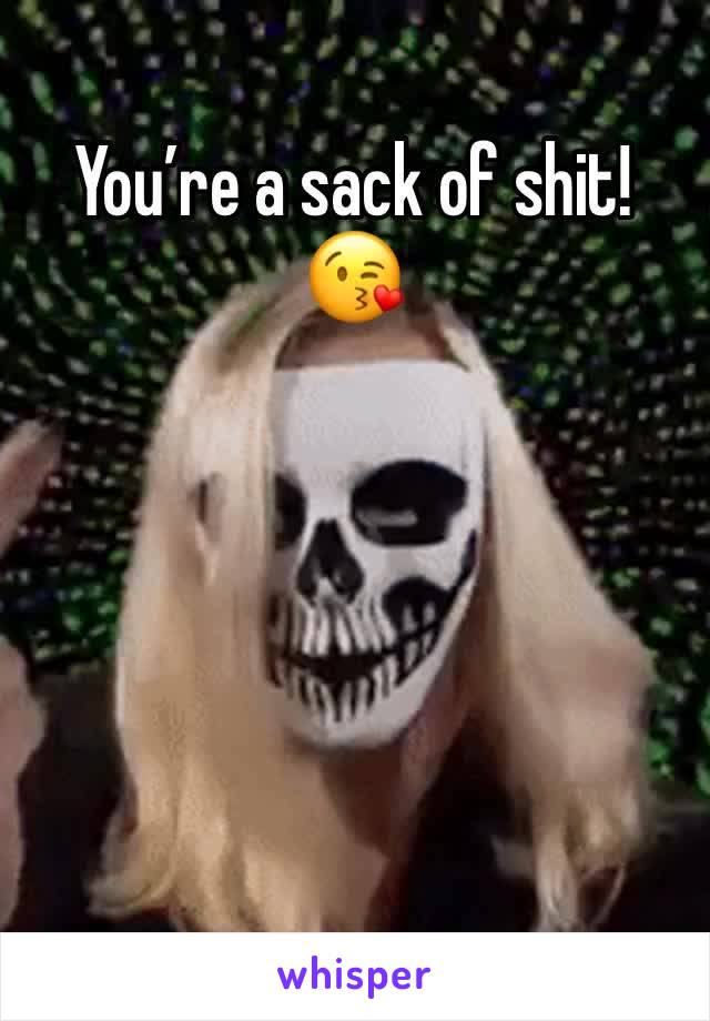 You’re a sack of shit!  😘