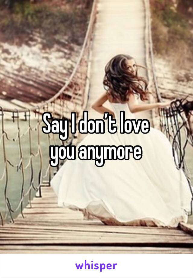 Say I don’t love you anymore 