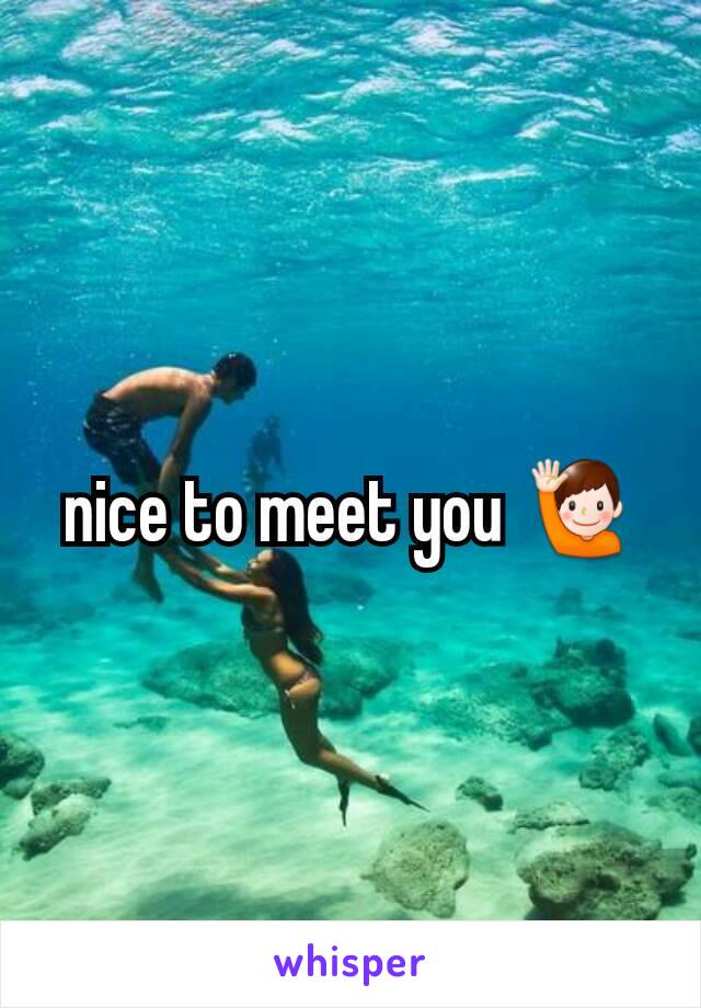 nice to meet you 🙋