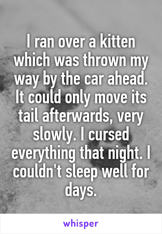 I ran over a kitten which was thrown my way by the car ahead. It could only move its tail afterwards, very slowly. I cursed everything that night. I couldn't sleep well for days.