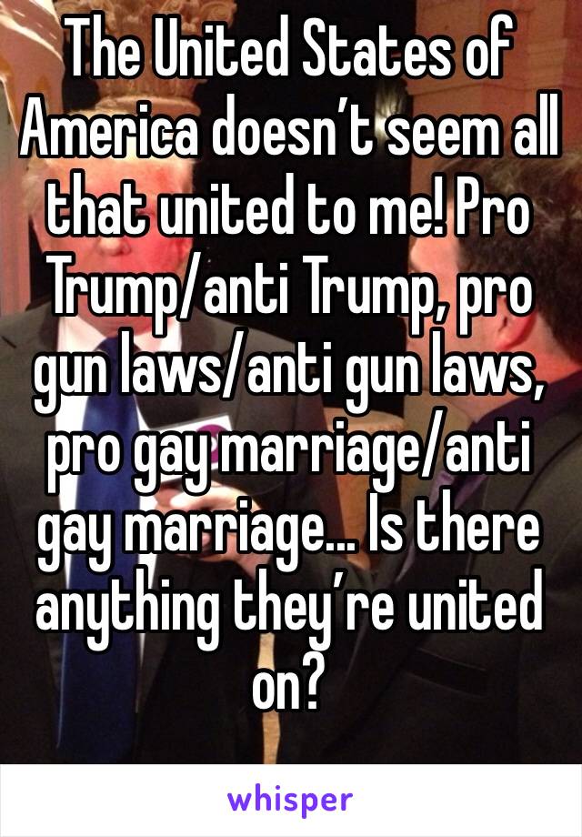 The United States of America doesn’t seem all that united to me! Pro Trump/anti Trump, pro gun laws/anti gun laws, pro gay marriage/anti gay marriage... Is there anything they’re united on?